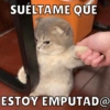 Dilo con Michis pt.6 🐱🤎 19