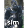 slm
S