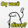 Flork Bravo😡 13