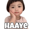 HAAYE