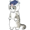 Gatitos 17