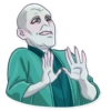 Voldemort Harry Potter 23