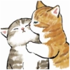 Abel's cat 1 14