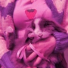 ᥫ᭡  soft pack  ،،̲🌷 ๋࣭ 10