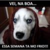 Que frio é esse? 💙❄️ 14
