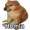 Payi Homla