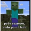 Minecraft meme 11