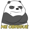 URSOS SEM CURSO 🐻🐻‍❄️🐼 10