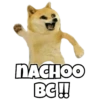 Dog Memes 13