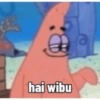 Patrick si jago 12