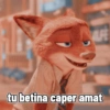tu betina caper amat