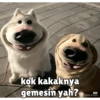 Kocheng&doge slebewww 6