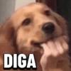 DIGA