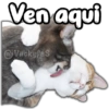 Ven aqui
@Vickyfas