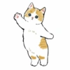 Abel's cat 1 29
