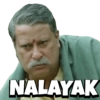 Viral Memes 13