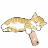 Abel's cat 1 17