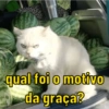 qual foi o motivo
da graça?