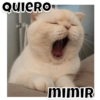 Quiero
mimiR