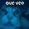 Michis🐱 10