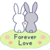 Lovely rabbit 24