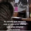 Kittens for u🐈💖✨ CLÁSICOS 7