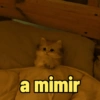 😻Gatos gaticos michis lindos 14