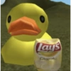 ⊹ ᨘ໑▸ 𖥻 Patos ˑ 𖦹 12