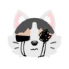Pack de gatita graciosa 2 28