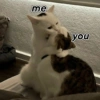 me you