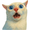 ✨️ Modo Gato 🐈🐱🐈‍⬛ 22