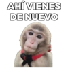 AHÍ VIENES DE NUEVO