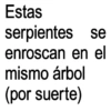 Estas serpientes se enroscan en el mismo árbol (por suerte)