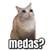 Gatos Sad 5