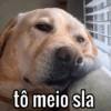 tô meio sla