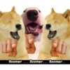 Sticker pack 3 (dogeism) 5