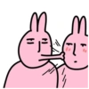 Pink korea rabbit  7
