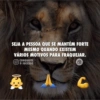 Mensagem evangélica 13