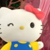 ⩉⩉ . 🌿 ࣪ 𓂃 ✸ KiTTY ،، 𖥻  6