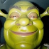 Estilo Sherk💚 10
