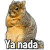 🚫Memes que no viste6🚫 8