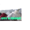 Los polinesios 13