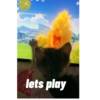 Cat 14