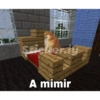 Minecraft 5
