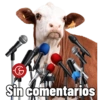 Cabaña Don Luis 14