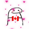 Flork with flags of countries 29