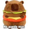Capibara capibara capibara 12