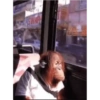 Monkeyyyy 7