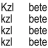 Text anomali 1.3 13