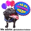 StickerAdoption  10